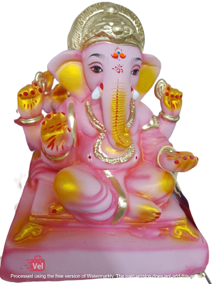 IMG_2553-removebg-preview