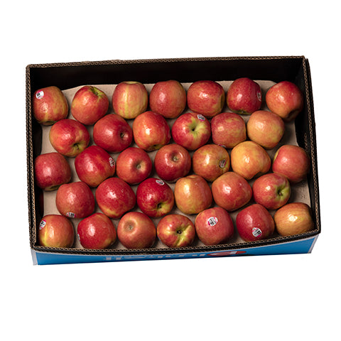 APPLE PINK LADY BOX ( 18KG 165S) Fresh