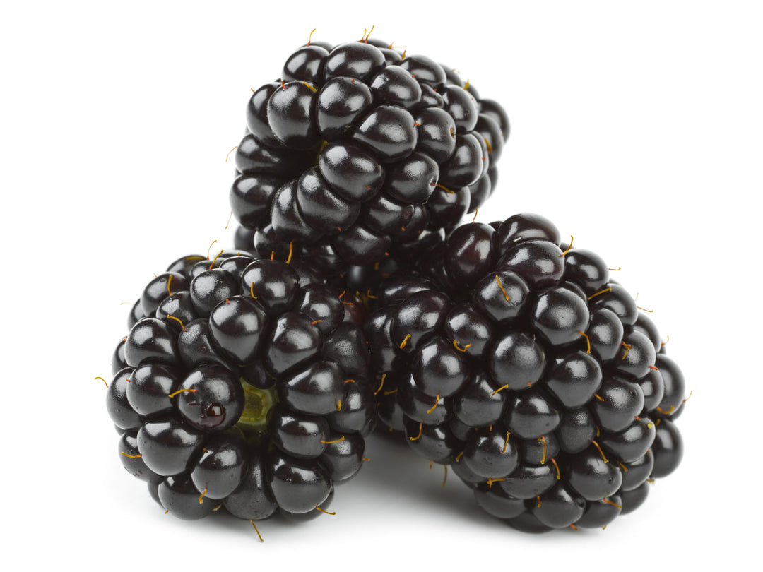 Blackberry Punnet Fresh