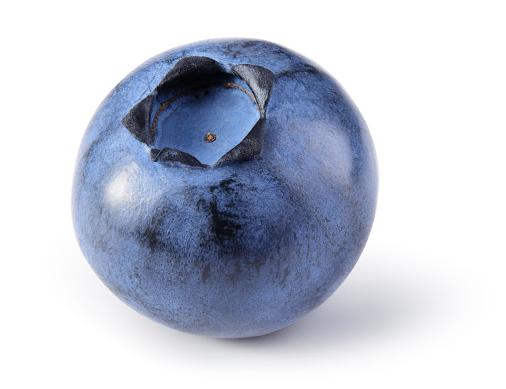 Blueberry (Premium) Each Fresh