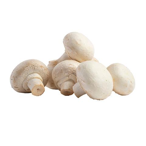 Mushroom Button 500g Bag Fresh