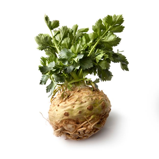 Celeriac Bunch Fresh