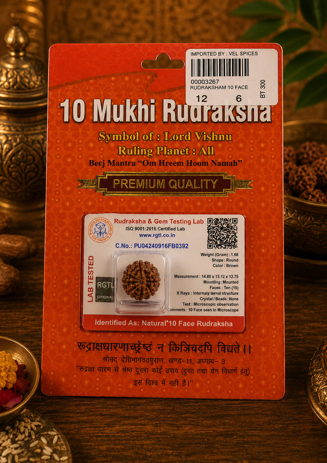 10 Mukhi Rudraksha