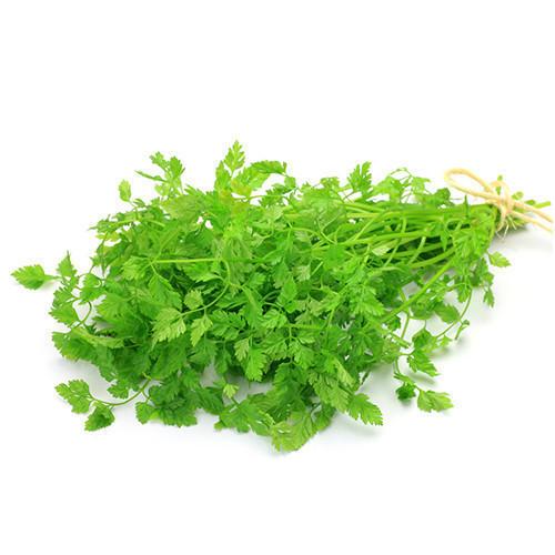Chervil Bunch Fresh