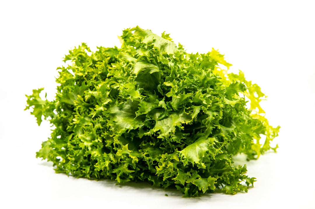 Endive Bunch Fresh