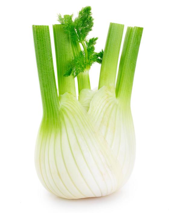 Fennel Each Fresh