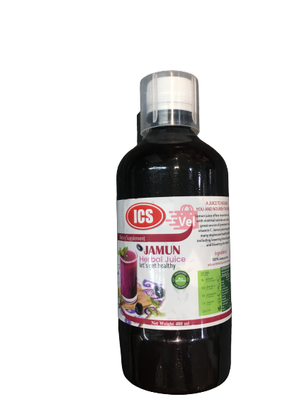 Ics Jamun 480Ml