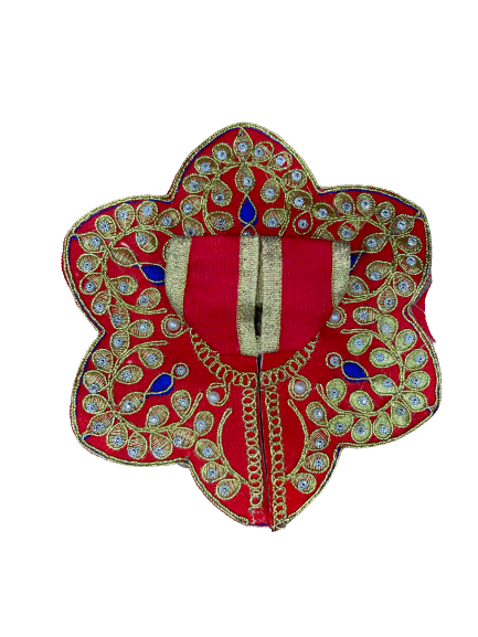 IMG_2309-removebg-preview