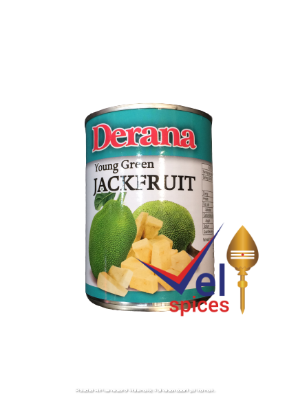 Derana Young Green Jack Fruit 565G