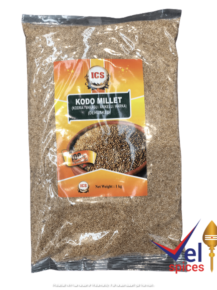 IMG_5026-removebg-preview