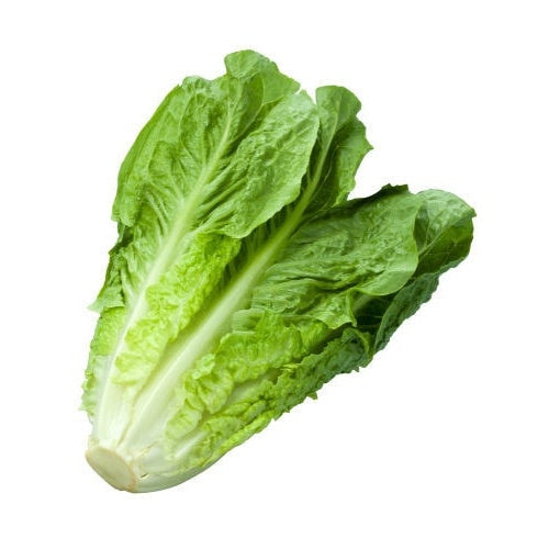 Lettuce Cos Each Fresh