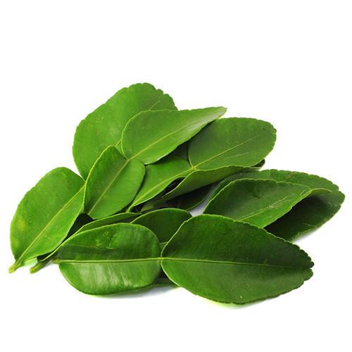 Lime Leaves (10g) Bunch Fresh