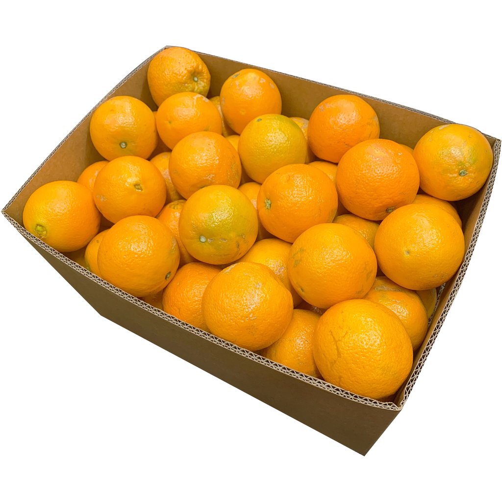 ORANGES NAVEL CARTON ( 15kg BOX) Fresh