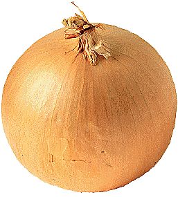 Onion_Brown