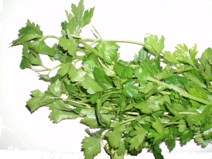 Parsley Continental Bunch Fresh