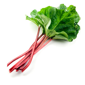 Rhubarb Bunch Fresh