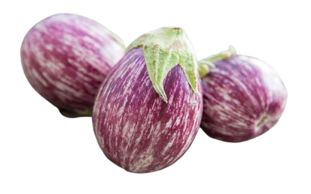 Round_Egg_Plant-removebg-preview