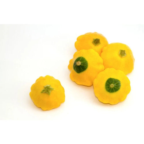 Squash - Yellow Each Fresh