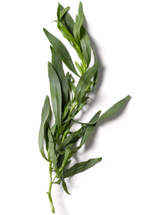 Tarragon Each Fresh