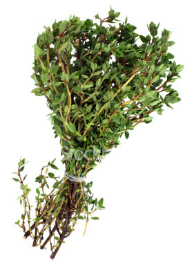 Thyme Bunch Fresh