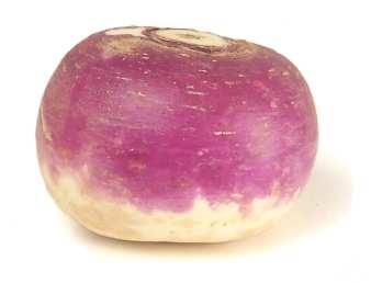 Turnip Each Fresh