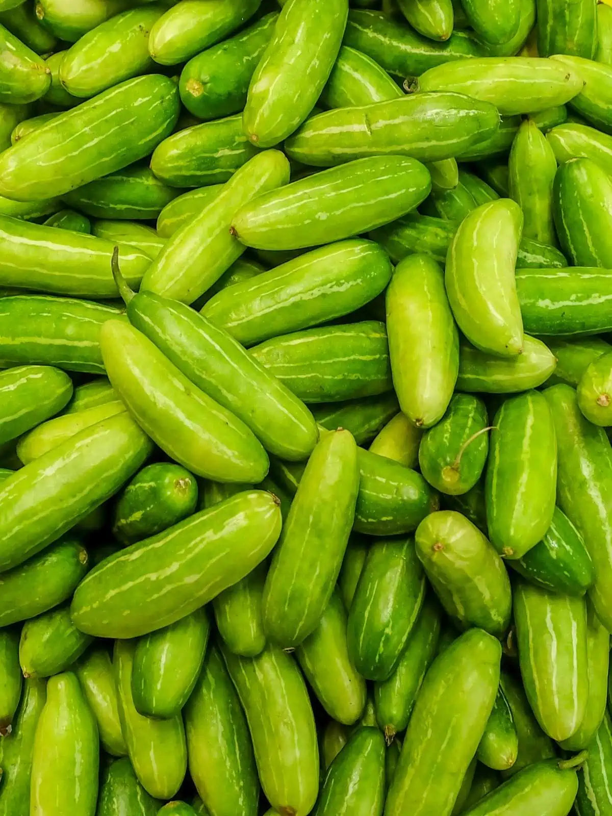 Tindora Per/Kg