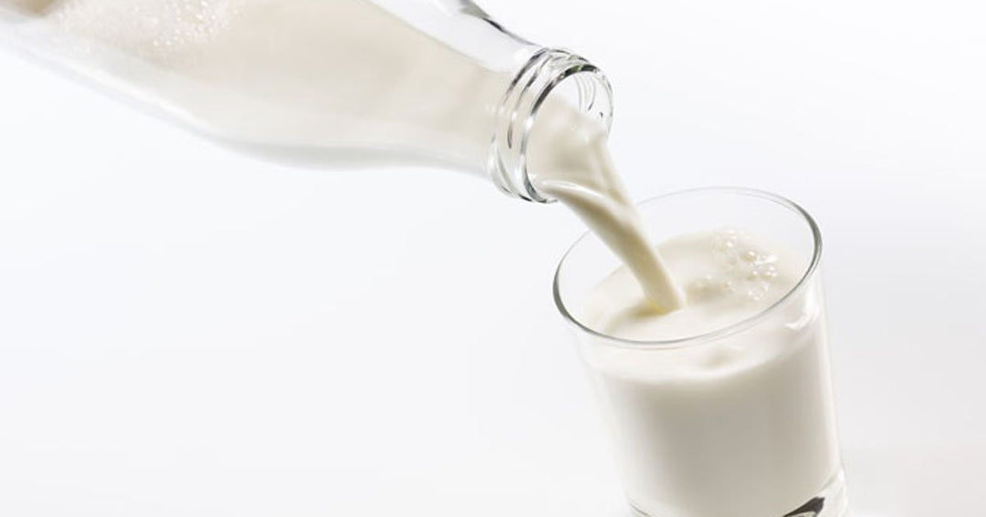 MILK - Full Cream (2 litre) (Green Pastures Dairy- 100% Australian owned) Fresh