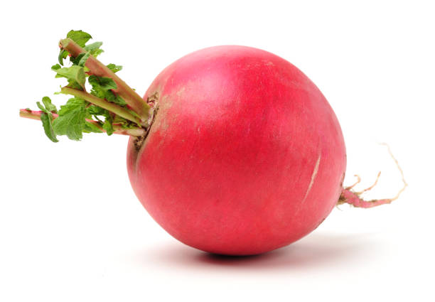 Red Raddish Each