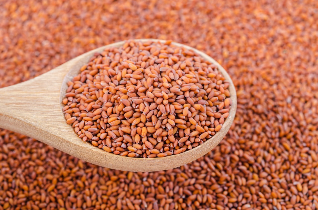 Yogie Haleem Seeds 200G