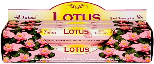 Tulasi Lotus Value Pack