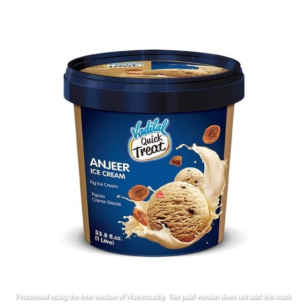 Vadilal Anjeer Icecream Frozen 1Lt