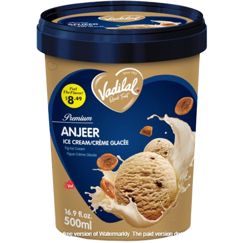 Vadilal_Anjeer_Ice_Cream_Frozen_500Ml