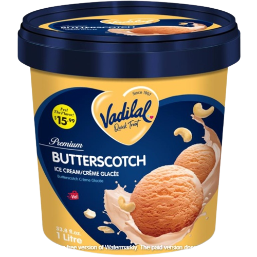 Vadilal_Butterscoth_Ice_Cream_Frozen_1Lt