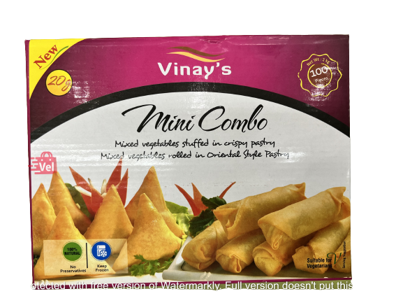 Vinay_Mini_Combo_100Pcs_Frozen