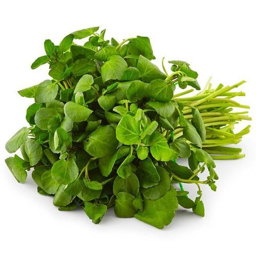 Watercress Bunch Fresh