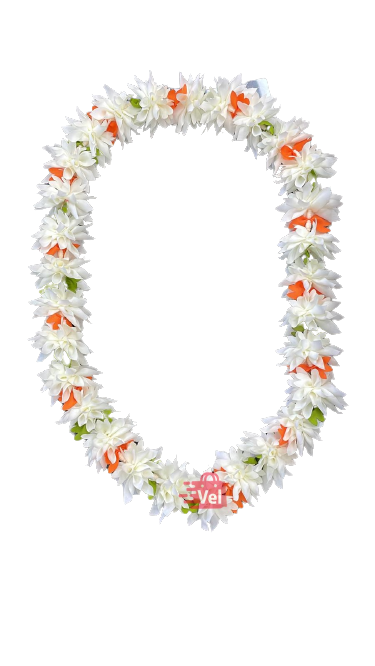 Sharp Cut Hara Malai White