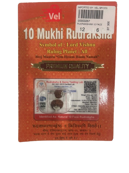 10 Mukhi Rudraksha
