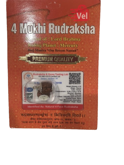 4 Mukhi Rudraksha