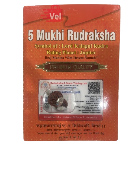5 Mukhi Rudraksha