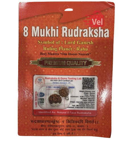 8 Mukhi Rudraksha