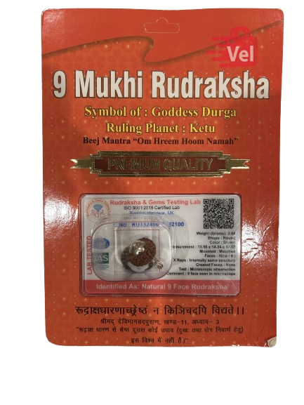 9 Mukhi Rudraksha