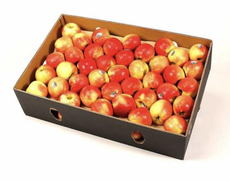 APPLE PINK LADY BOX (82S APPLES) Fresh