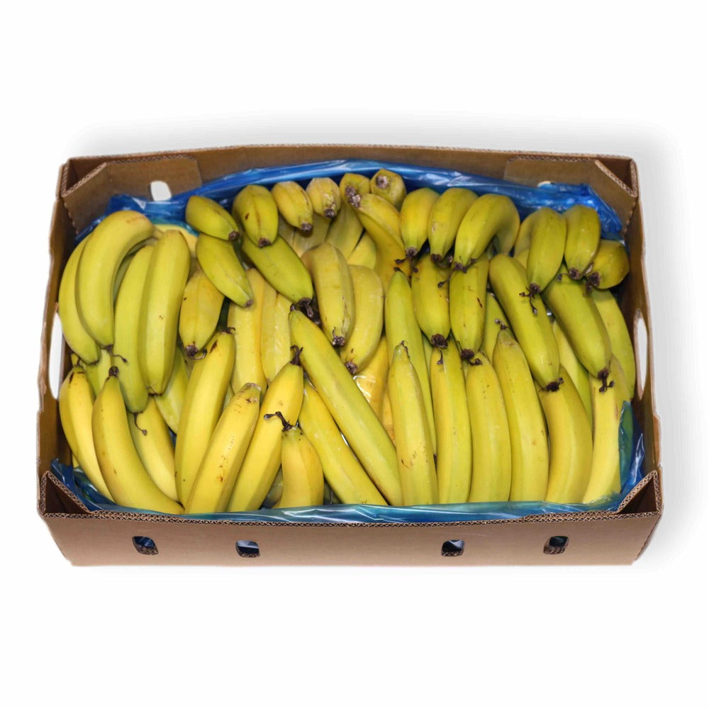 BANANA BOX (WHOLE BOX 13KG PREMIUM XL) Fresh