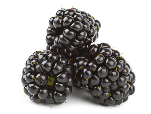 Blackberry Punnet Fresh