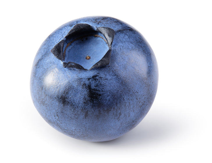 Blueberry   (Premium) Each Fresh