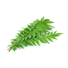 Curry Leaves Per/Kg Fresh