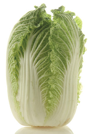 Cabbage Chinese (whole) (WOMBOK) Fresh