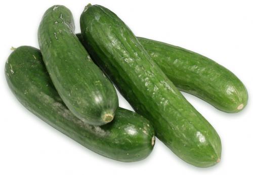 Cucumber Lebanese Each Fresh