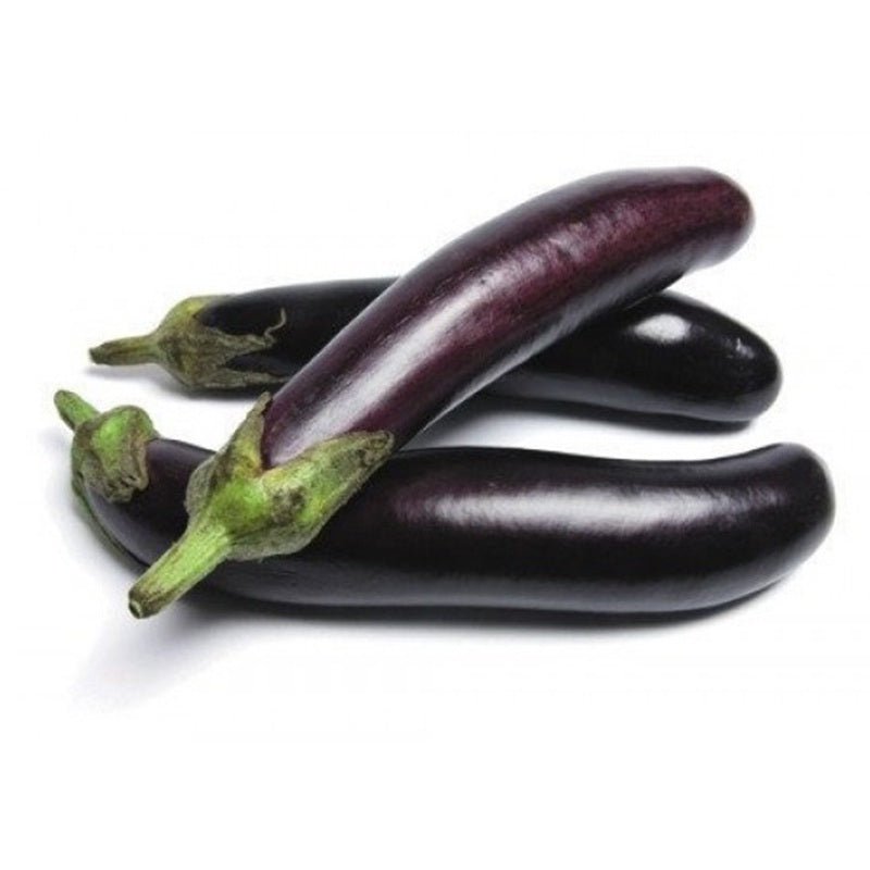 Eggplant_long