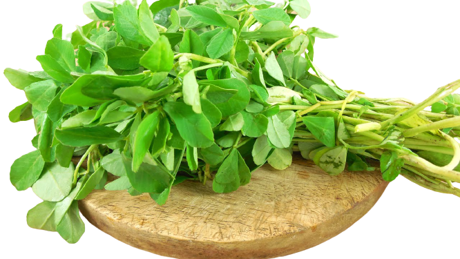 Fenugreek_leaves-removebg-preview
